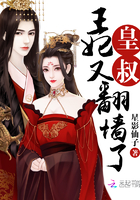 小说：皇叔，王妃又翻墙了，作者：星影仙子