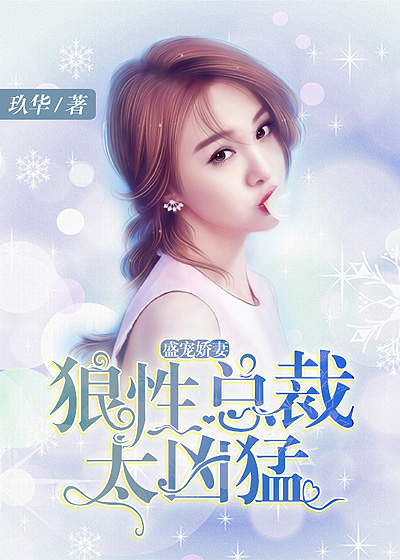 小说：盛宠娇妻：狼性总裁太凶猛，作者：玖华