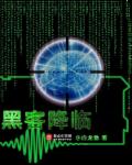 小说：黑客降临，作者：白龙傲