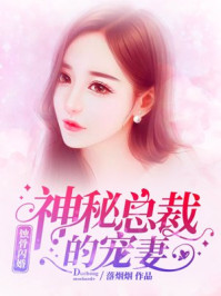 小说：蚀骨闪婚：神秘总裁的宠妻，作者：落烟烟