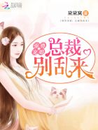 小说：强势宠婚：总裁，别乱来，作者：黛黛窝