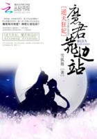 小说：逆天狂妃：高冷魔君靠边站，作者：雪狐舞