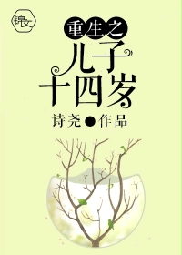 小说：重生之儿子十四岁，作者：诗尧