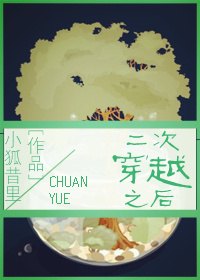 小说：二次穿越之后，作者：小狐昔里