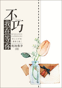 小说：不巧，我在等你，作者：机场佛爷