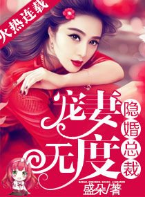 小说：隐婚总裁宠妻无度，作者：盛朵
