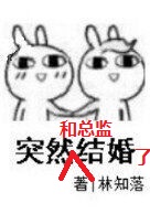 小说：突然和总监结婚了，作者：林知落