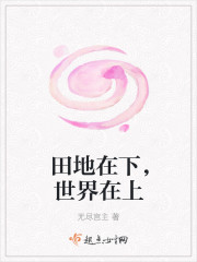 小说：田地在下，世界在上，作者：无尽宫主
