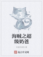 小说：海贼之超级奶爸，作者：机智的咸鱼