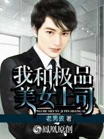 小说：我和极品美女上司，作者：老男孩