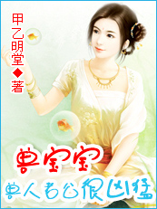 小说：禽兽宝宝一岁半：兽人老公好凶猛，作者：甲乙明堂