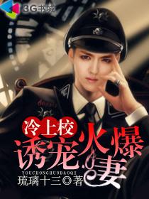 小说：冷上校诱宠火爆妻，作者：琉璃十三