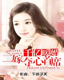 小说：千亿暖婚：二嫁夺心首席，作者：下银子天