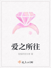 小说：爱之所往，作者：背叛的信仰者