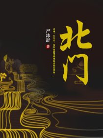 小说：北门，作者：严冰舒