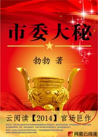 小说：市委大秘，作者：勃勃