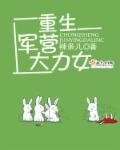小说：重生军营大力女，作者：辣条儿