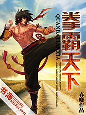 小说：拳霸天下，作者：春晓