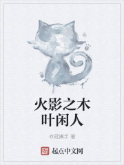 小说：火影之木叶闲人，作者：衣冠擒手