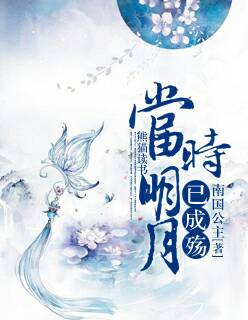 小说：当时明月已成殇，作者：南国公主11