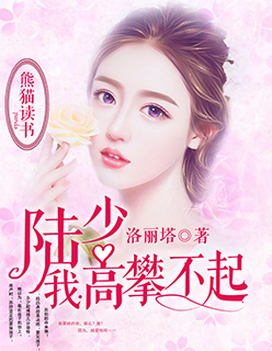 小说：陆少，我高攀不起，作者：洛丽塔