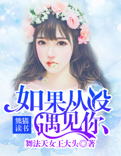小说：如果从没遇见你，作者：舞法天女王大头