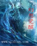 小说：觉醒者之王，作者：牧影之徒