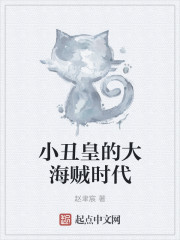 小说：小丑皇的大海贼时代，作者：赵聿宸