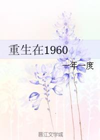 小说：重生在1960，作者：一年一度