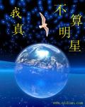 小说：我真不算明星，作者：紫云奔