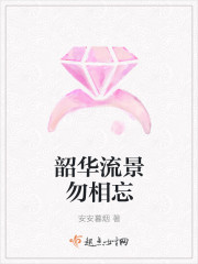 小说：韶华流景勿相忘，作者：安安暮烟