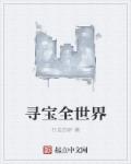 小说：寻宝全世界，作者：行走的驴