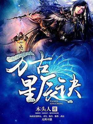 小说：万古星辰诀，作者：木头人