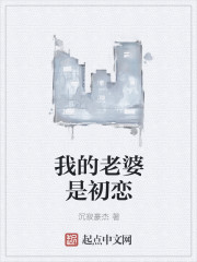 小说：我的老婆是初恋，作者：沉寂豪杰
