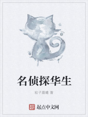小说：名侦探华生，作者：粒子晨曦