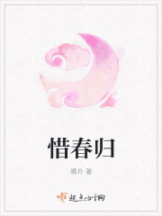 小说：惜春归，作者：晴月