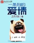 小说：一条狗的爱情，作者：2月18