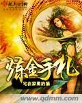 小说：炼金手札，作者：宅在家里的猫