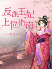 小说：反派王妃上位指南，作者：暗香