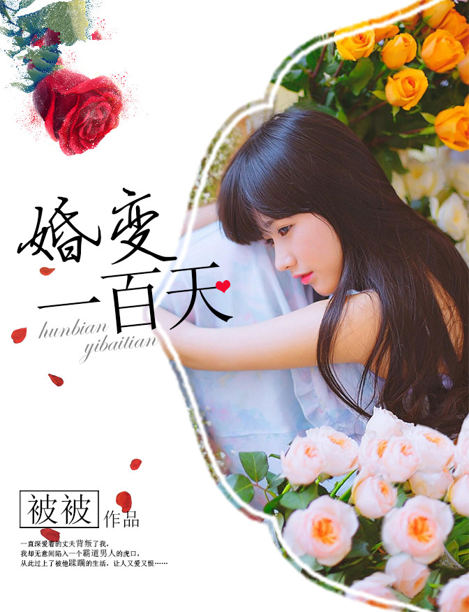 小说：婚变一百天，作者：被被