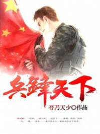 小说：兵锋天下，作者：吾乃天少