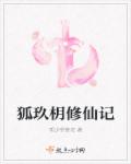 小说：狐玖枂修仙记，作者：帮少爷管花