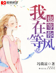 小说：我在等风也等你，作者：冯微凉