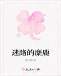 小说：迷路的麋鹿，作者：穆小蓉