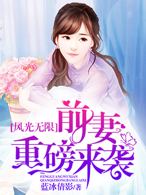 小说：风光无限：前妻重磅来袭，作者：蓝冰倩影