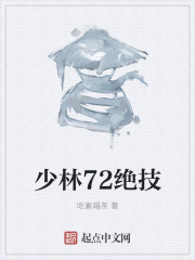 小说：少林72绝技，作者：吃素喝茶