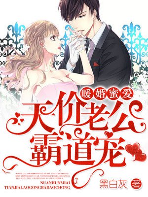 小说：暖婚蜜爱：天价老公霸道宠，作者：黑白灰