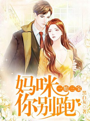 小说：一胎三宝：妈咪你别跑，作者：黑白灰