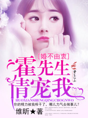 小说：霍先生请宠我，作者：维昕