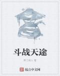小说：斗战天途，作者：第三类人